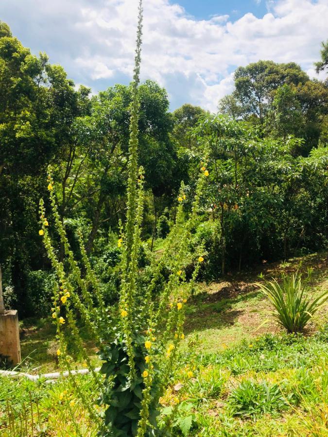 All Green Residence Monte Verde  Exterior foto